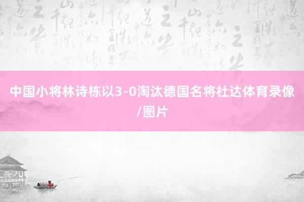 中国小将林诗栋以3-0淘汰德国名将杜达体育录像/图片