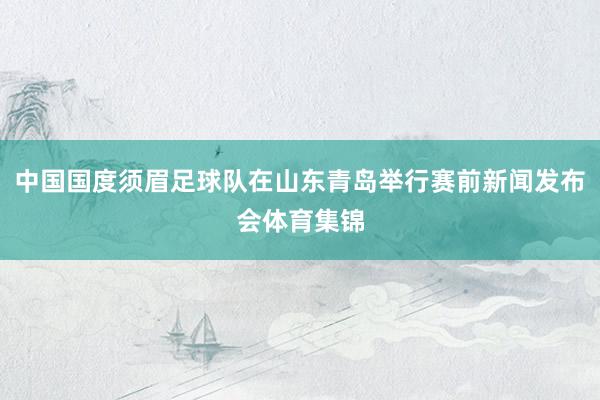 中国国度须眉足球队在山东青岛举行赛前新闻发布会体育集锦